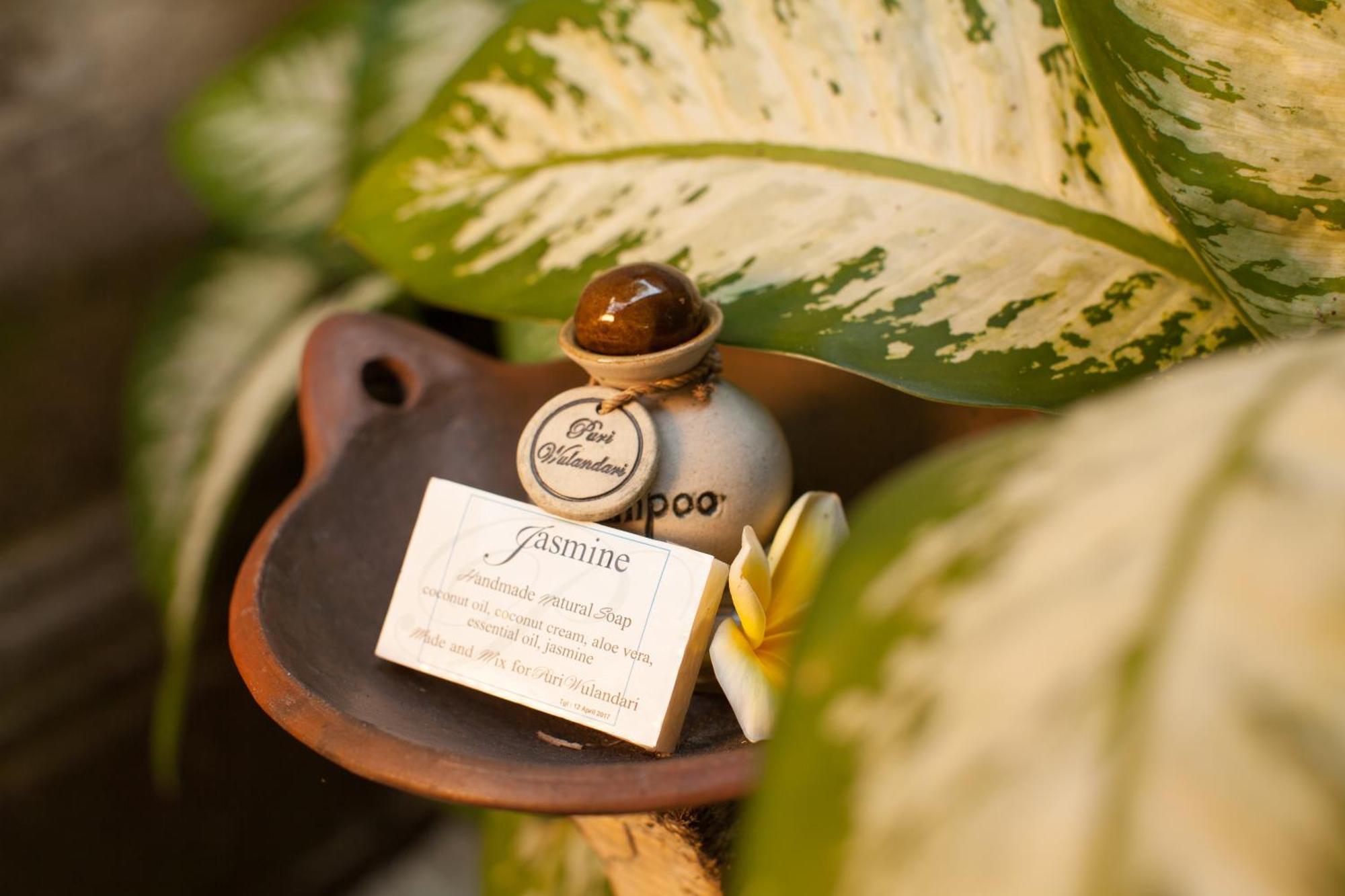Puri Wulandari A Boutique Resort&Spa - CHSE Certified Ubud Extérieur photo